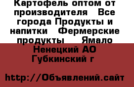 Картофель оптом от производителя - Все города Продукты и напитки » Фермерские продукты   . Ямало-Ненецкий АО,Губкинский г.